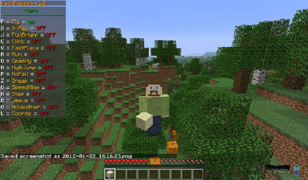 Чит Клиент HackFleisch v1.0 [MineCraft 1.1]