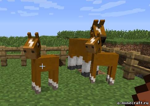 [1.5.2] Roxa's Horses