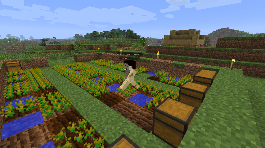 [1.2.5] Millenaire- Деревни NPC